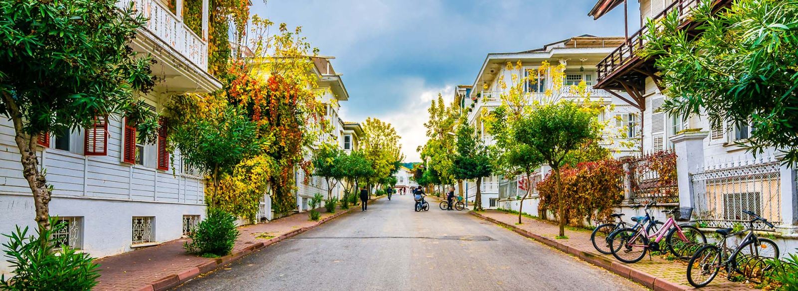 İSTANBUL ADALAR MİMOZA ÇİÇEĞİ FESTİVAL TURU