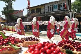 TEKİRDAĞ  KİRAZ FESTİVALİ