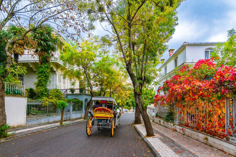 İSTANBUL ADALAR TURU  (HEYBELİ ADA VE BÜYÜKADA )