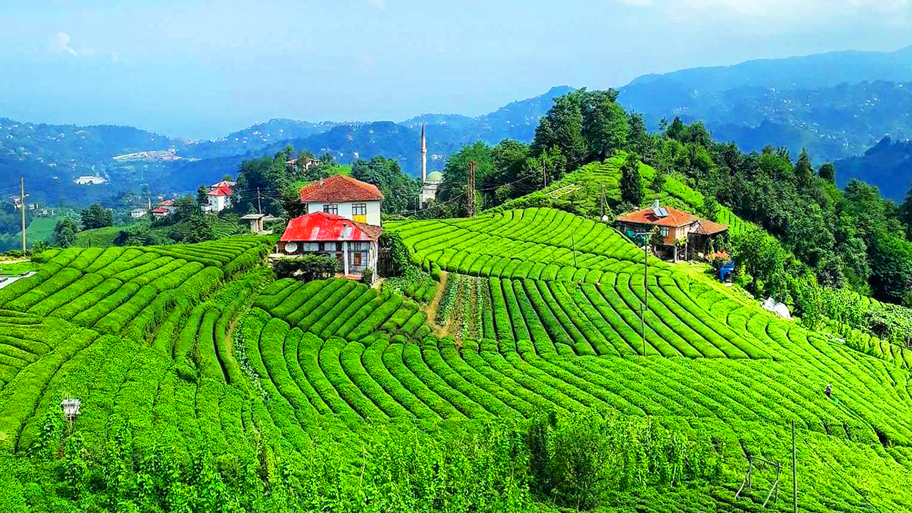 KARADENİZ RÜYASI VE BATUM TURU