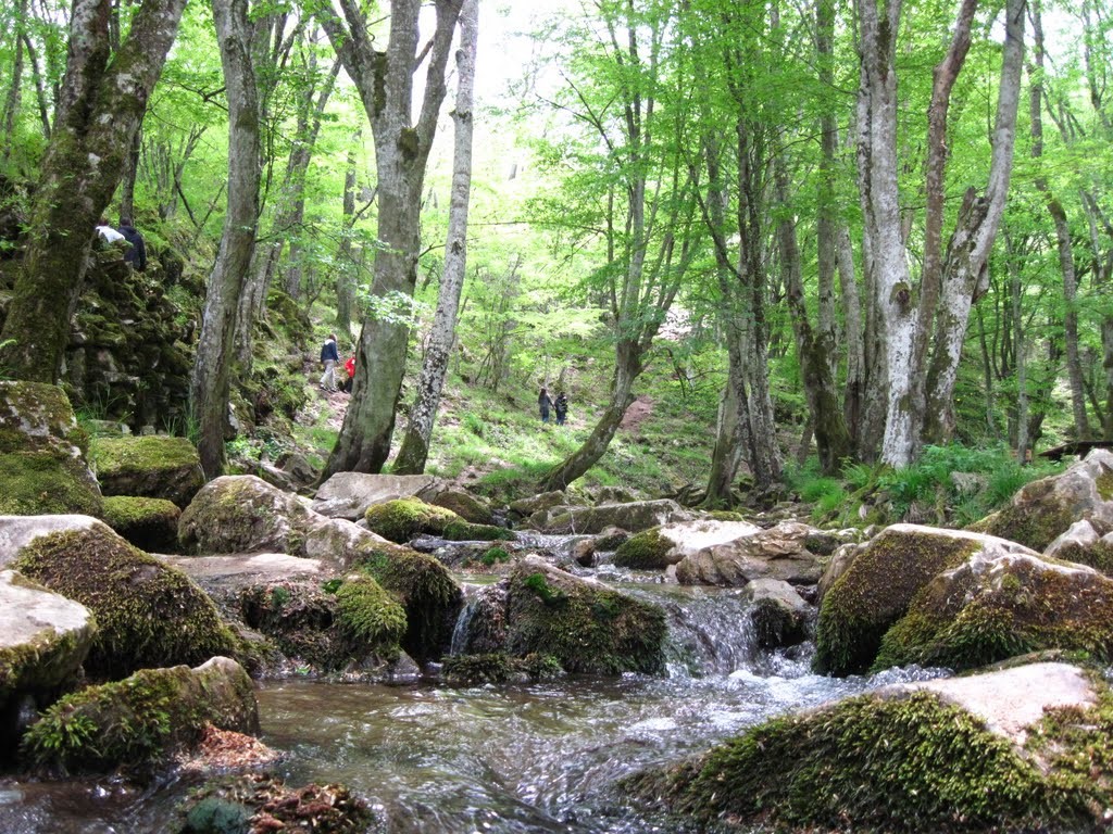 GÜNÜBİRLİK İĞNEADA - KIRKLARELİ TURU 29 NİSAN 2018