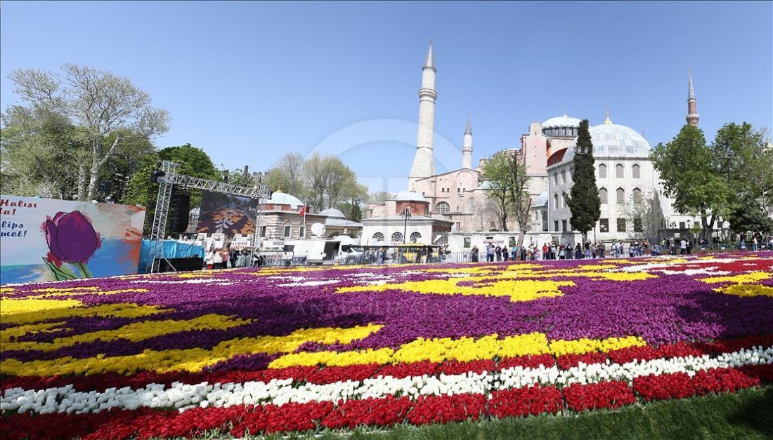 İSTANBUL LALE BAHÇELERİ VE TARİHİ YARIMADA TURU