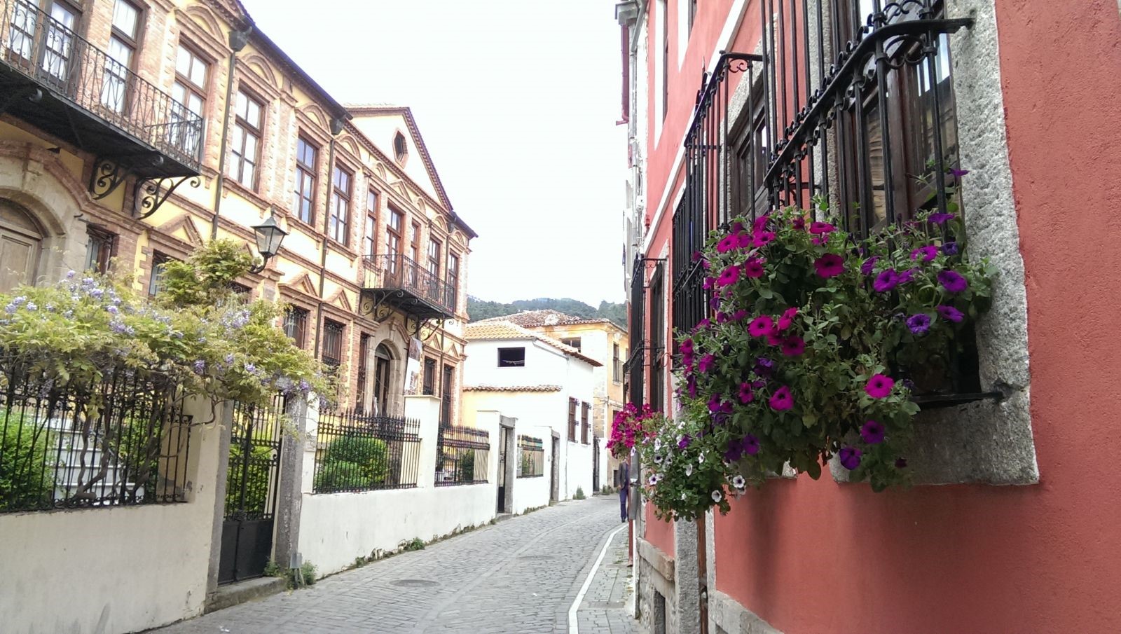 KAVALA İSKEÇE GÜMÜLCİNE TURU